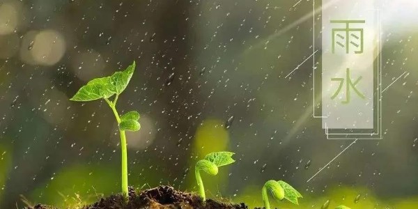 雨水 | 潤(rùn)澤萬物，耀先環(huán)境愿你得綿遠(yuǎn)深情